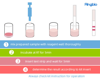 Nitrofuran 4-in-1 AOZ/AMOZ/AHD/SEM QuaTest