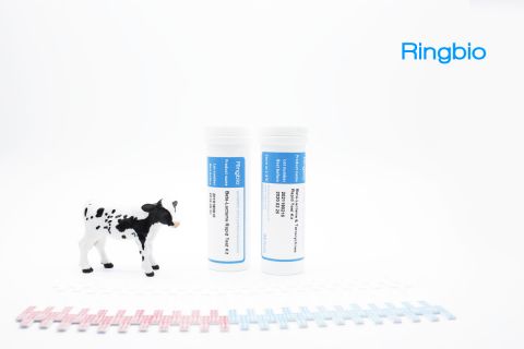 Lincomycin Rapid Test Kit