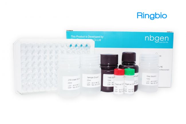 Chloramphenicol ELISA Kit