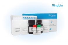 Feline rabies antibody IgG ELISA kit